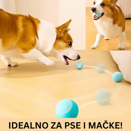 PAMETNA LOPTICA ZA LJUBIMCE