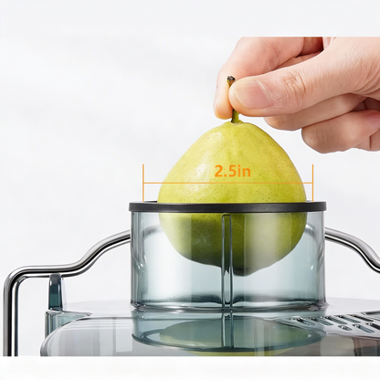 ELEKTRIČNI SOKOVNIK OD NERĐAJUĆEG ČELIKA